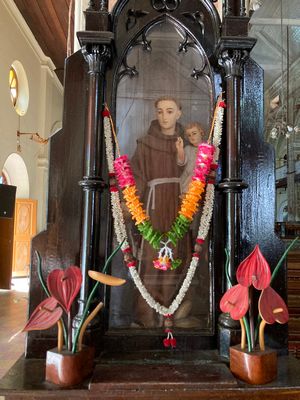 St. Francis of Assisi